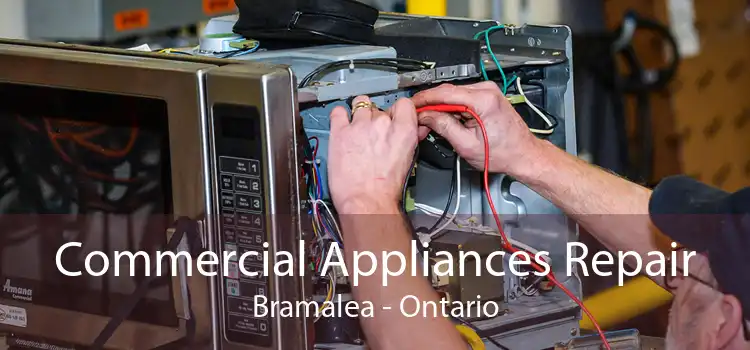 Commercial Appliances Repair Bramalea - Ontario
