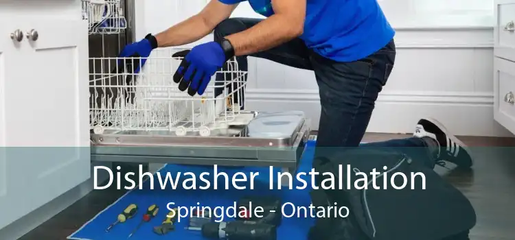 Dishwasher Installation Springdale - Ontario