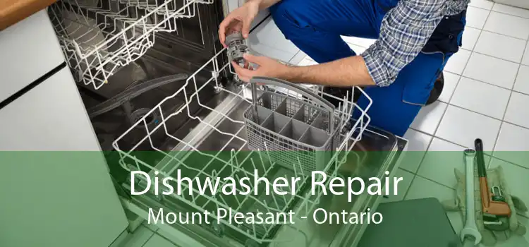 Dishwasher Repair Mount Pleasant - Ontario