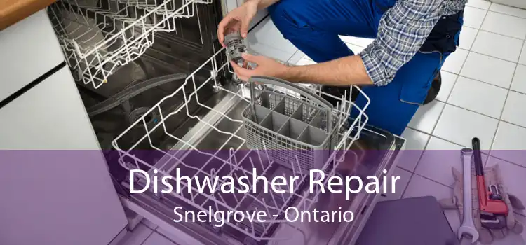Dishwasher Repair Snelgrove - Ontario