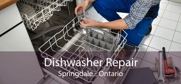 Dishwasher Repair Springdale - Ontario