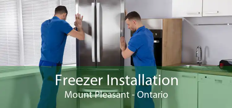 Freezer Installation Mount Pleasant - Ontario