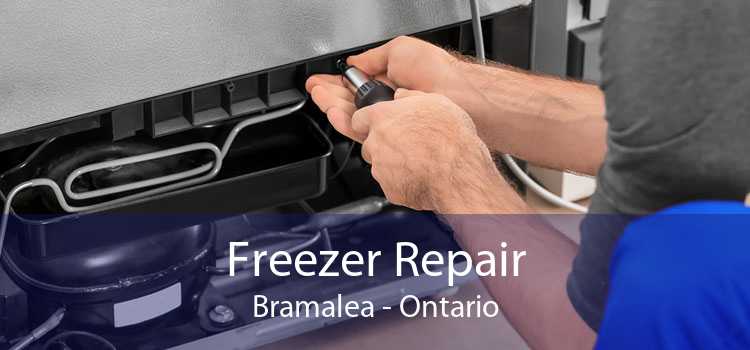 Freezer Repair Bramalea - Ontario
