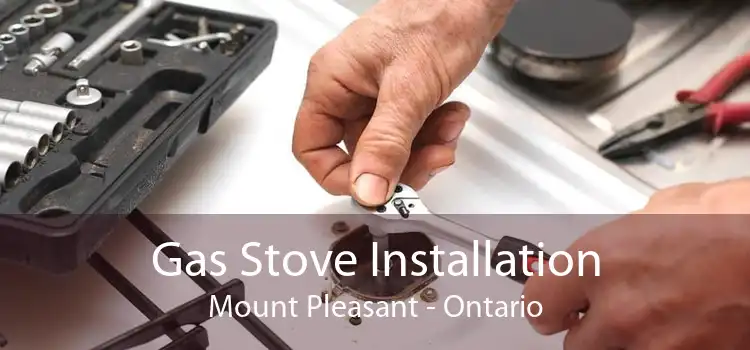 Gas Stove Installation Mount Pleasant - Ontario