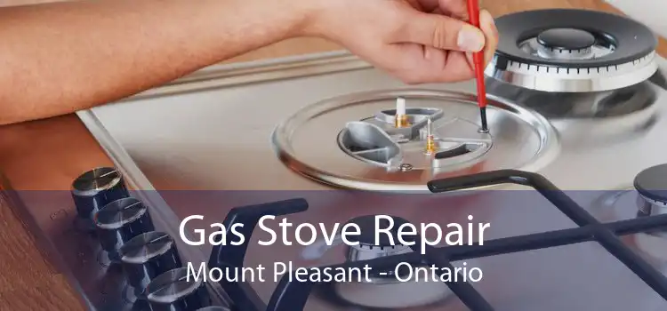Gas Stove Repair Mount Pleasant - Ontario