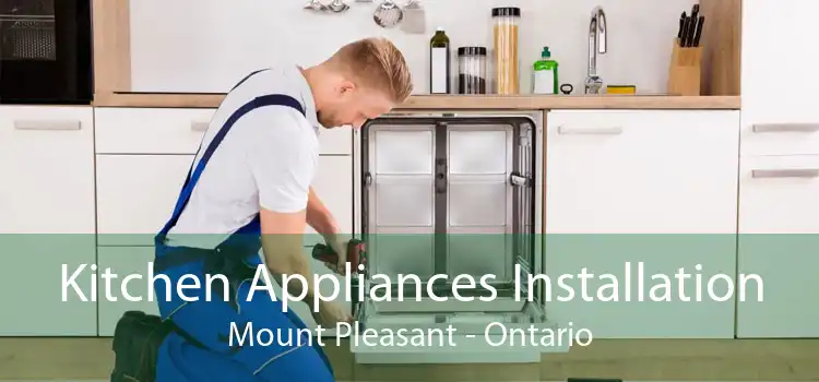 Kitchen Appliances Installation Mount Pleasant - Ontario