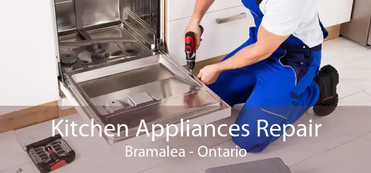 Kitchen Appliances Repair Bramalea - Ontario