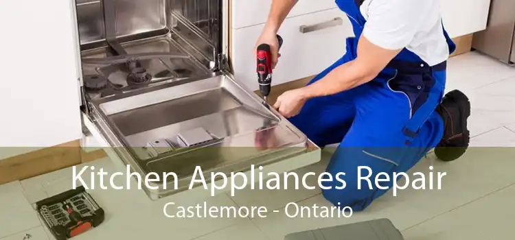 Kitchen Appliances Repair Castlemore - Ontario