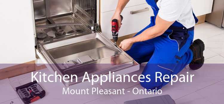 Kitchen Appliances Repair Mount Pleasant - Ontario