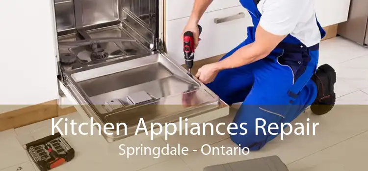 Kitchen Appliances Repair Springdale - Ontario