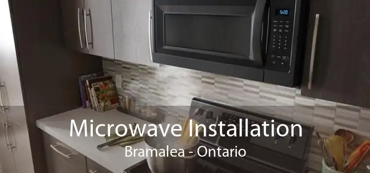 Microwave Installation Bramalea - Ontario