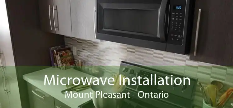 Microwave Installation Mount Pleasant - Ontario