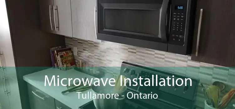 Microwave Installation Tullamore - Ontario