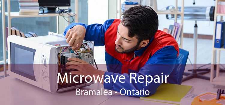 Microwave Repair Bramalea - Ontario