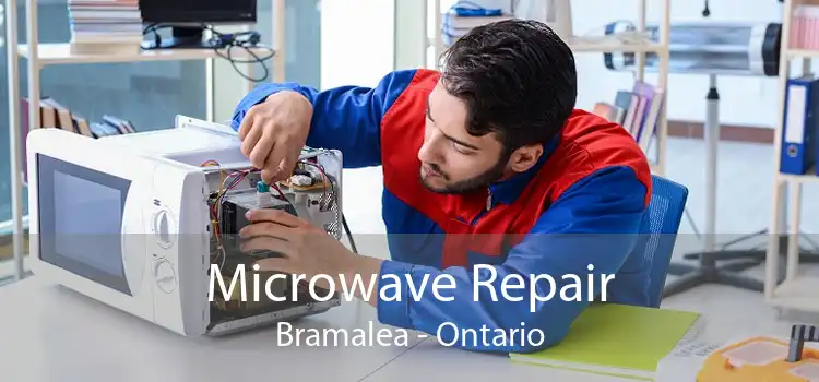 Microwave Repair Bramalea - Ontario