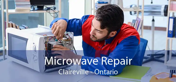 Microwave Repair Claireville - Ontario