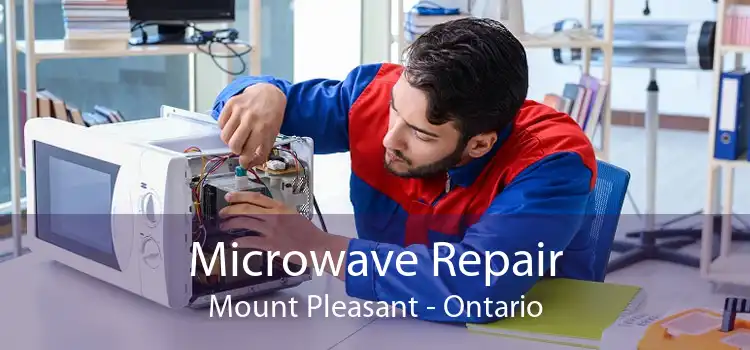 Microwave Repair Mount Pleasant - Ontario