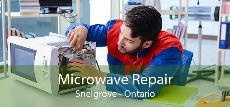 Microwave Repair Snelgrove - Ontario