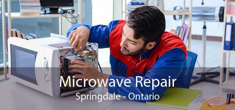 Microwave Repair Springdale - Ontario
