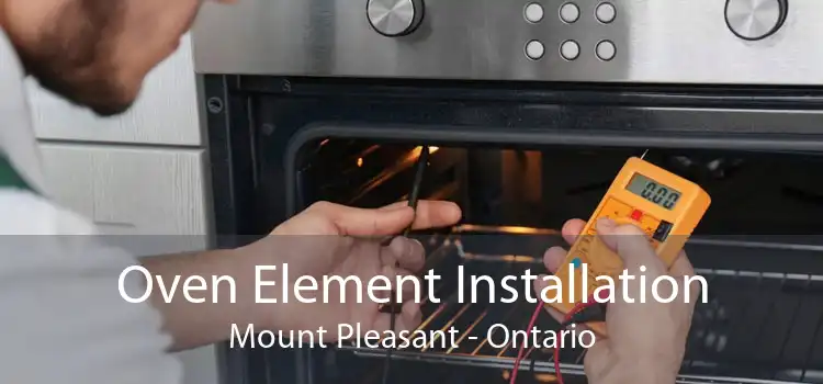 Oven Element Installation Mount Pleasant - Ontario
