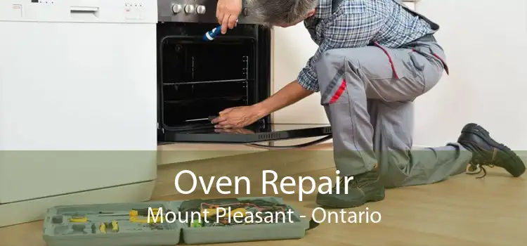 Oven Repair Mount Pleasant - Ontario