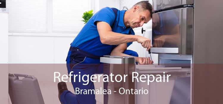 Refrigerator Repair Bramalea - Ontario