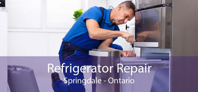 Refrigerator Repair Springdale - Ontario