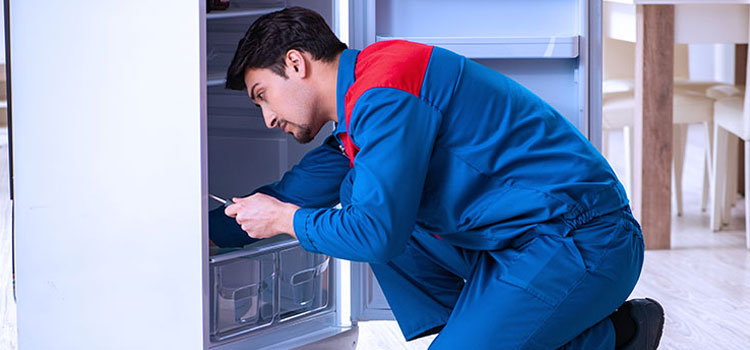 Freezer Repair Services in Snelgrove